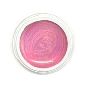 #538 Braun Duo | Premium Farbgel